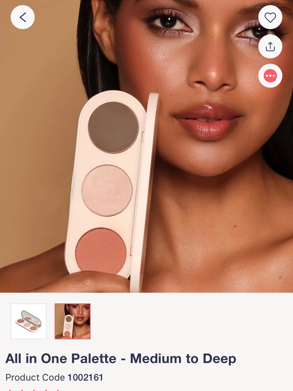 BNIB- Farmasi All-In-One Palette in shade: medium/deep